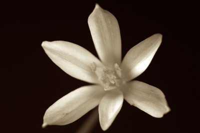 A bras ouvert_4609376148_l.jpg